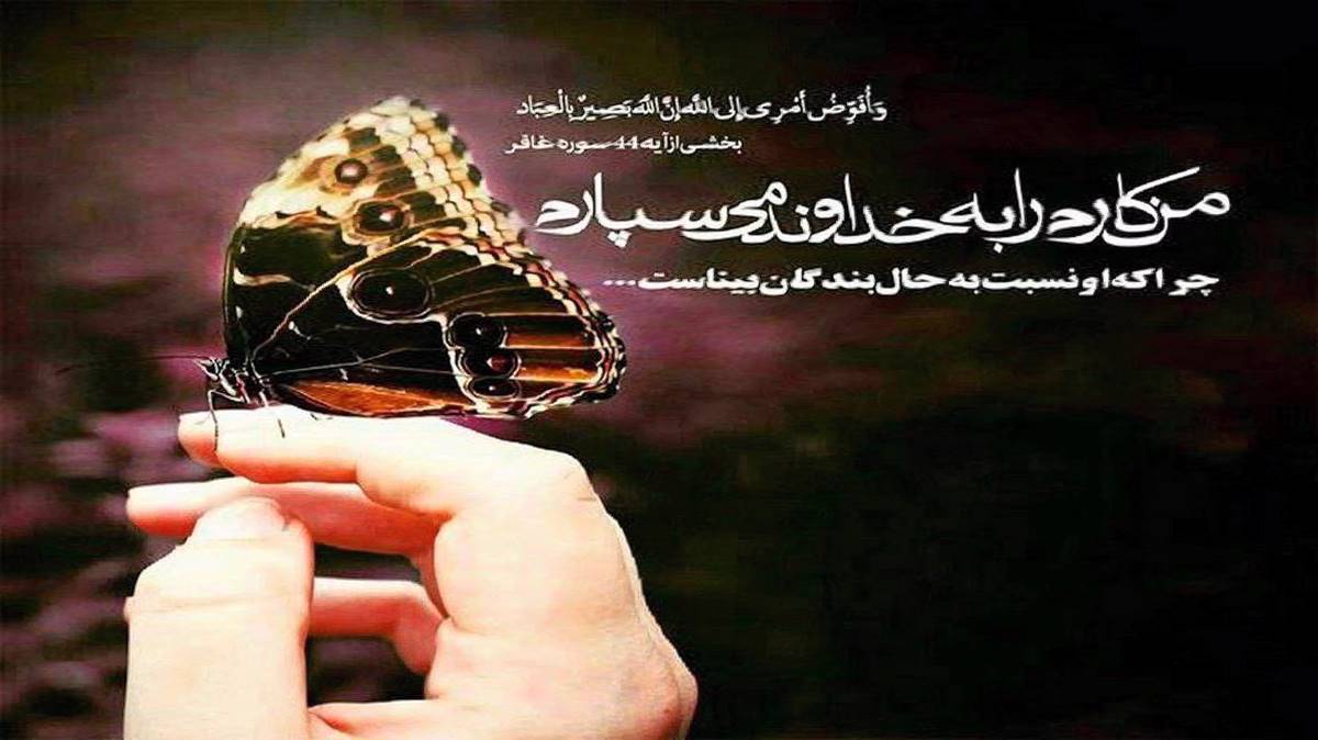  بلکه چوخ اینجیتمیشم سودییم انسانلاری